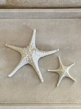 Starfish decor Set of 2